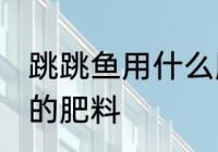 跳跳鱼用什么肥料最好 如何做跳跳鱼的肥料