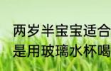 两岁半宝宝适合哪种水杯 两岁的宝宝是用玻璃水杯喝水比较好对吗
