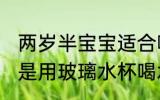 两岁半宝宝适合哪种水杯 两岁的宝宝是用玻璃水杯喝水比较好对吗