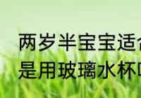 两岁半宝宝适合哪种水杯 两岁的宝宝是用玻璃水杯喝水比较好对吗