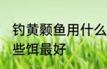 钓黄颡鱼用什么饵最好 钓黄颡鱼用哪些饵最好