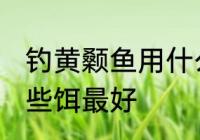 钓黄颡鱼用什么饵最好 钓黄颡鱼用哪些饵最好