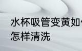 水杯吸管变黄如何清洗 水杯吸管变黄怎样清洗