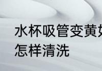 水杯吸管变黄如何清洗 水杯吸管变黄怎样清洗