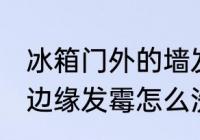 冰箱门外的墙发霉了怎么办 冰箱门缝边缘发霉怎么洗干净