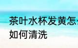 茶叶水杯发黄怎么清洗 茶叶水杯发黄如何清洗