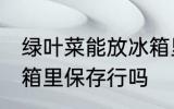 绿叶菜能放冰箱里保存吗 绿叶菜放冰箱里保存行吗