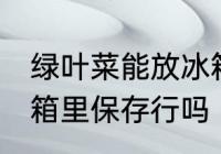 绿叶菜能放冰箱里保存吗 绿叶菜放冰箱里保存行吗