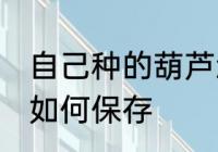 自己种的葫芦怎么保存 自己种的葫芦如何保存