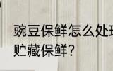 豌豆保鲜怎么处理最好 豌豆采后怎么贮藏保鲜？
