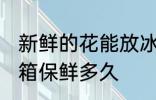 新鲜的花能放冰箱吗几天 花可以放冰箱保鲜多久