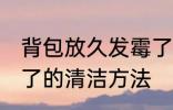 背包放久发霉了怎么洗 背包放久发霉了的清洁方法