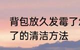 背包放久发霉了怎么洗 背包放久发霉了的清洁方法