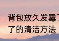 背包放久发霉了怎么洗 背包放久发霉了的清洁方法