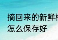 摘回来的新鲜橘子怎么保鲜 新鲜橘子怎么保存好