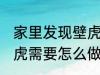 家里发现壁虎需要赶走吗 家里发现壁虎需要怎么做最好