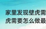 家里发现壁虎需要赶走吗 家里发现壁虎需要怎么做最好