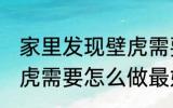 家里发现壁虎需要赶走吗 家里发现壁虎需要怎么做最好