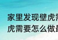 家里发现壁虎需要赶走吗 家里发现壁虎需要怎么做最好