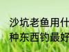 沙坑老鱼用什么钓最好 沙坑老鱼用哪种东西钓最好