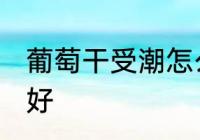 葡萄干受潮怎么办 葡萄干受潮怎么办好
