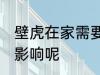 壁虎在家需要赶走吗 壁虎在家中有无影响呢