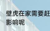 壁虎在家需要赶走吗 壁虎在家中有无影响呢