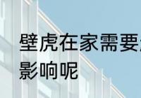 壁虎在家需要赶走吗 壁虎在家中有无影响呢