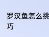 罗汉鱼怎么挑选好吃 罗汉鱼的挑选技巧
