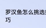 罗汉鱼怎么挑选好吃 罗汉鱼的挑选技巧