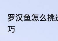 罗汉鱼怎么挑选好吃 罗汉鱼的挑选技巧